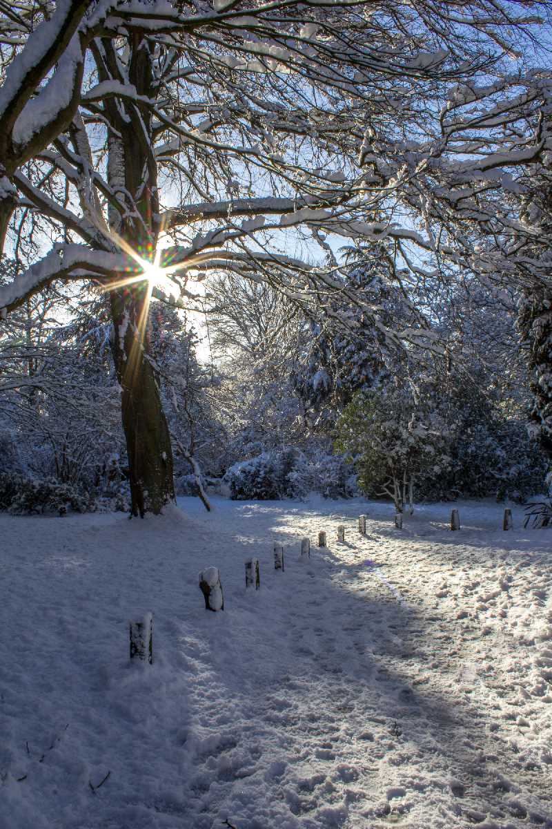 Winter sun in a snowy Highbury Park.